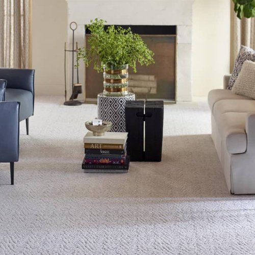 Living Room Pattern Carpet - At Home Floors in Largo, MN